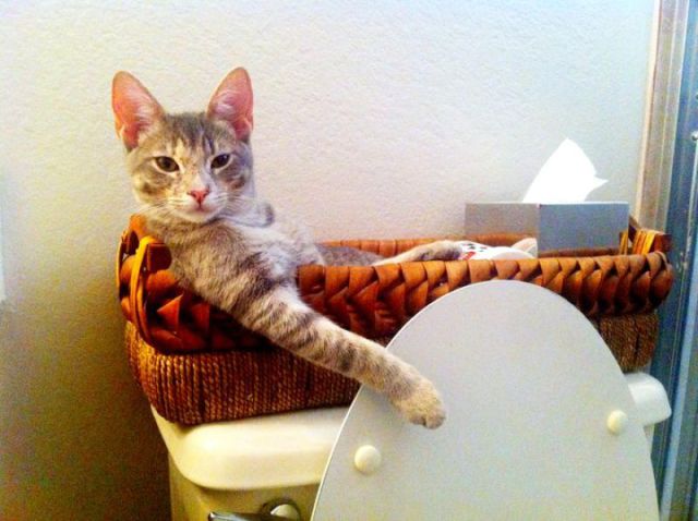 Daily picdump