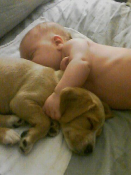 Daily picdump