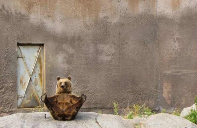 Daily picdump