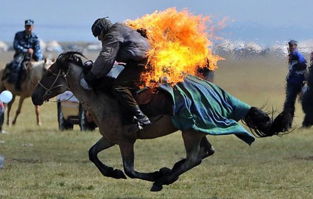 Daily picdump
