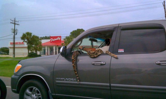 Daily picdump