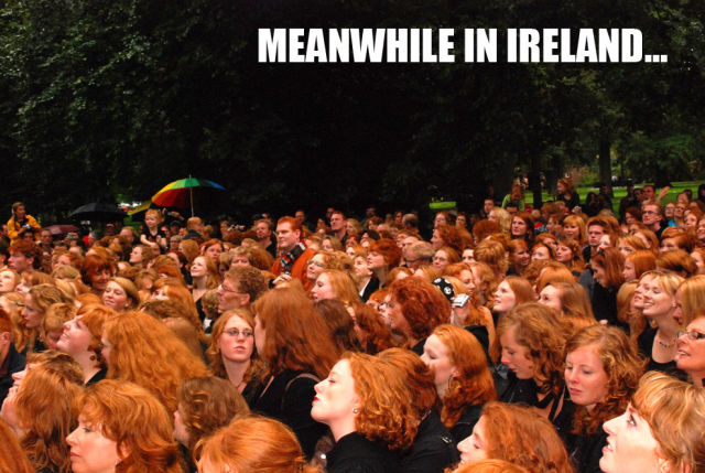 Daily picdump