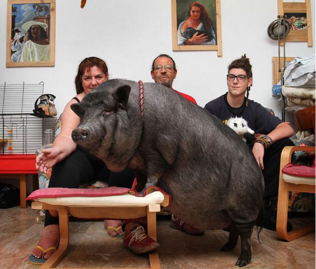 Daily picdump