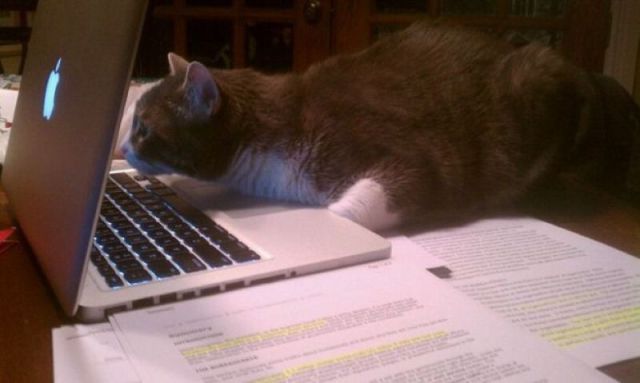Daily picdump