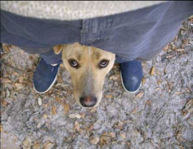 Daily picdump