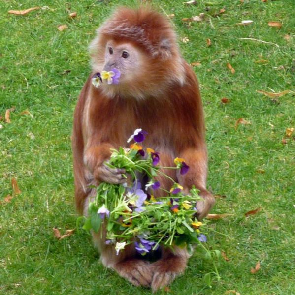 Daily picdump