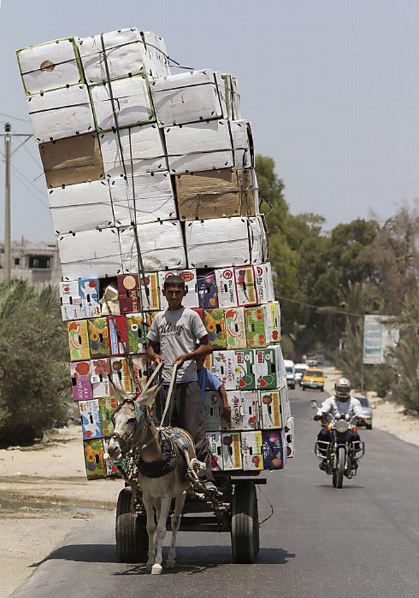 Daily picdump