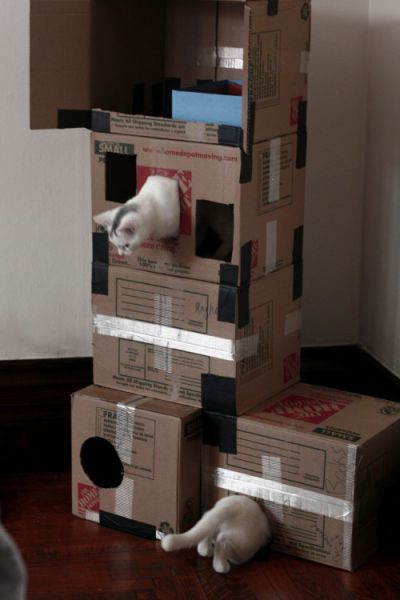 Daily picdump