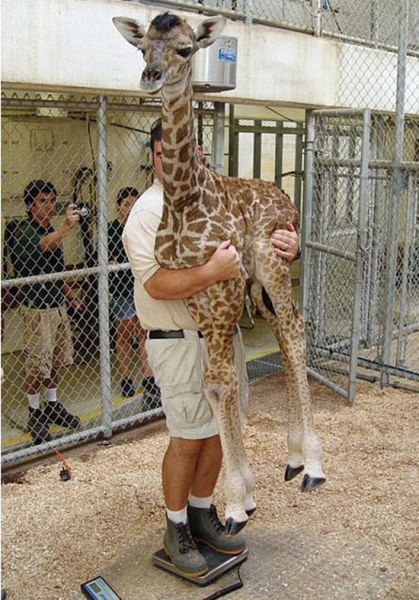 funny pictures