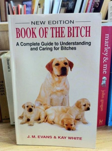 Daily picdump