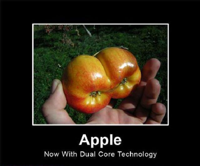 funny pictures