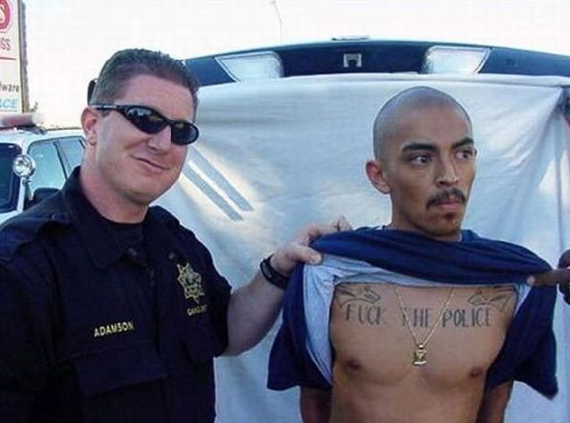 Daily Picdump