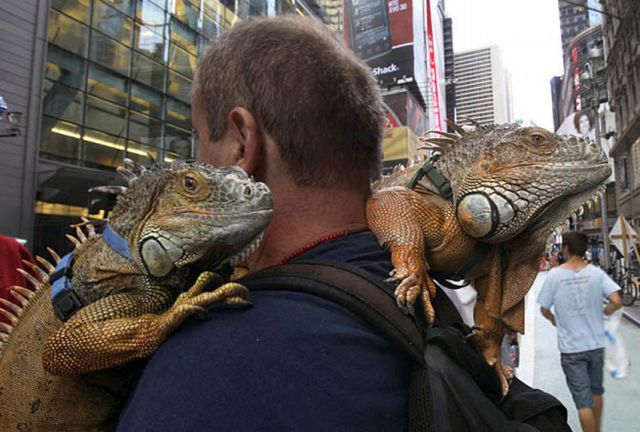 Daily Picdump