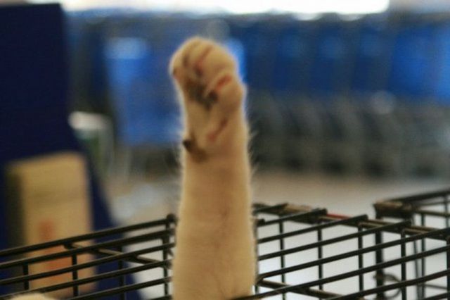Daily Picdump