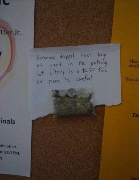 Daily Picdump