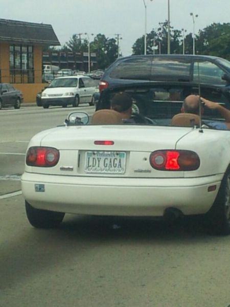 Morning Picdump
