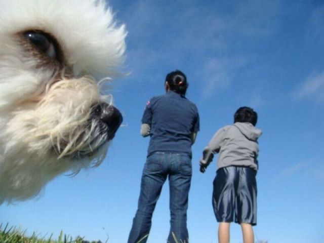 Morning Picdump