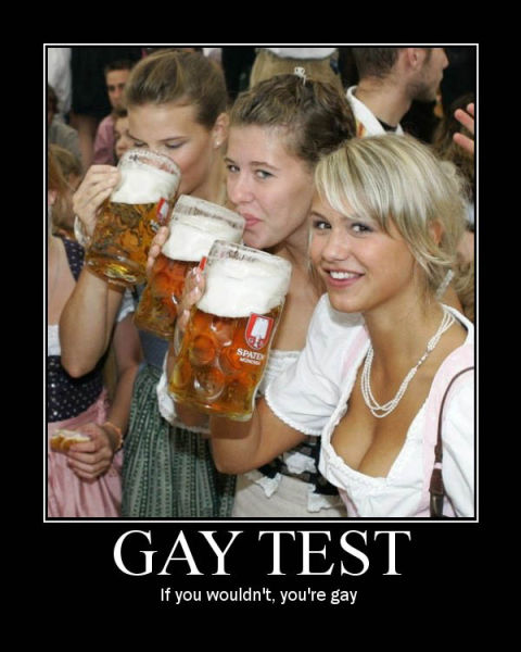 Demotivational Posters Test If You’re Gay