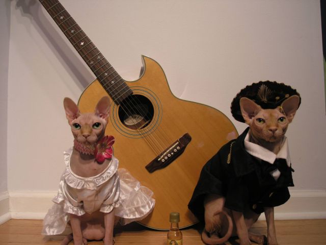 Morning Picdump
