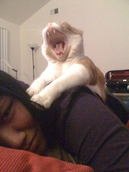 Morning Picdump