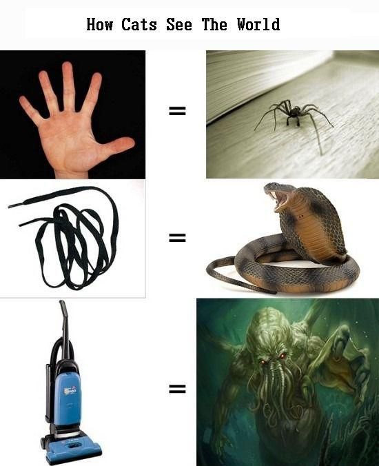 Morning Picdump