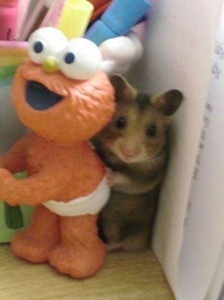 Morning Picdump