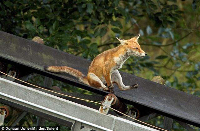 Morning Picdump