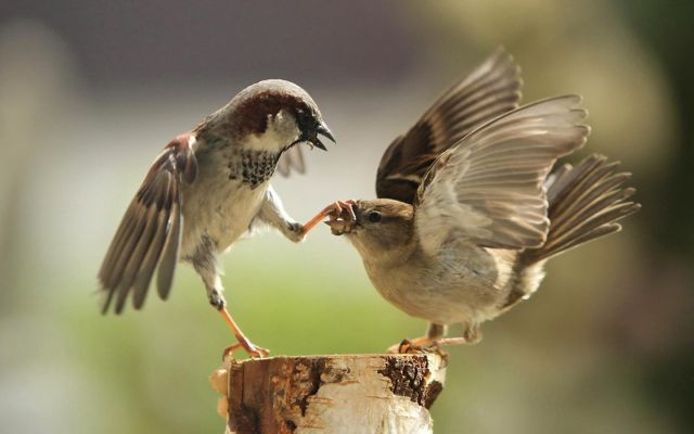 Hilarious Photos Taken at the Perfect Time