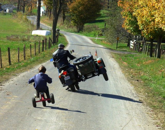 Hilarious Photos Taken at the Perfect Time
