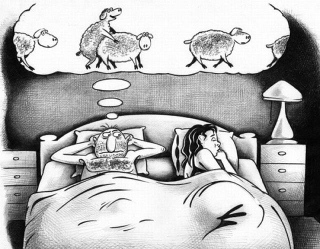 Morning Picdump