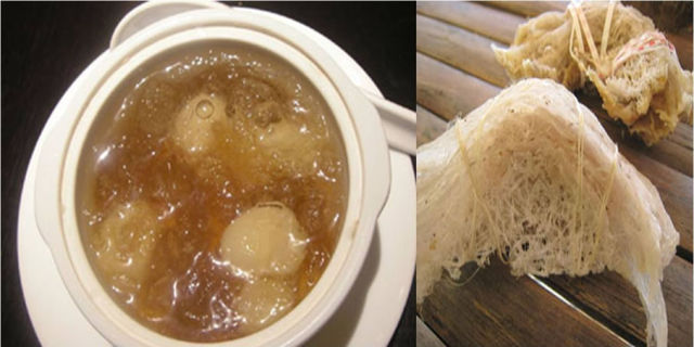 Completely Disgusting Food Dishes From Around the Globe