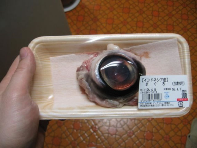 Completely Disgusting Food Dishes From Around the Globe