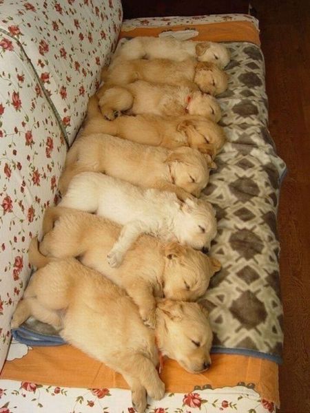 Morning Picdump
