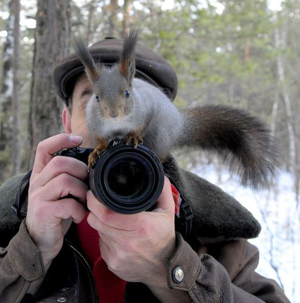 Morning Picdump