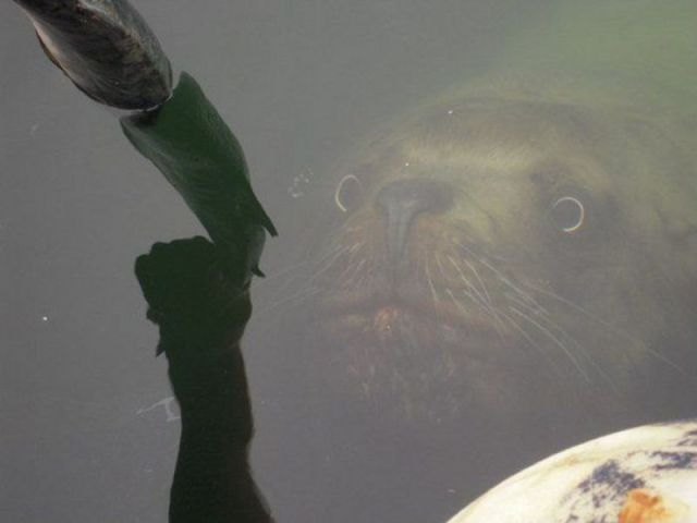 Daily Picdump
