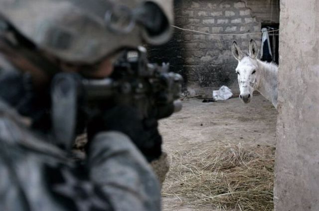 Morning Picdump