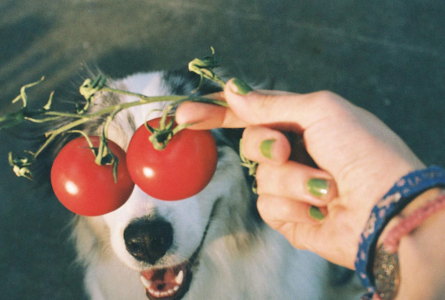 Powerfully Inspiring Photography