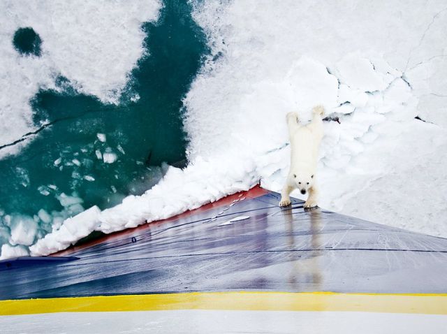 Powerfully Inspiring Photography