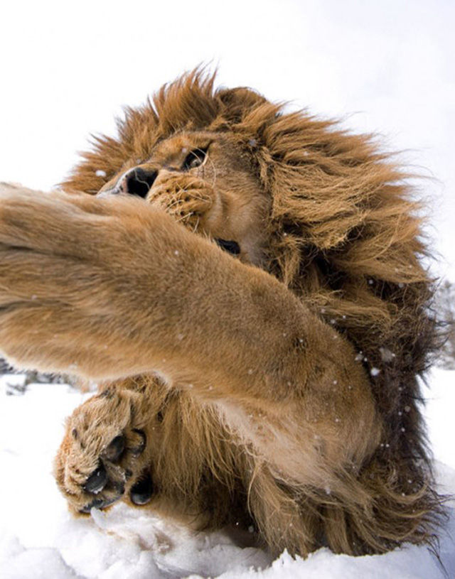 Powerfully Inspiring Photography