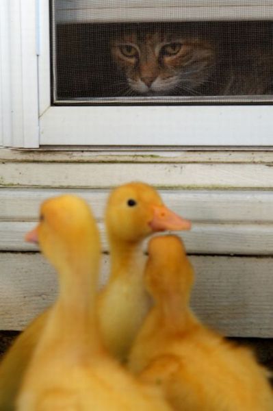 Daily Picdump