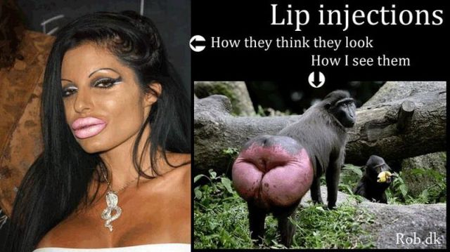 Daily Picdump