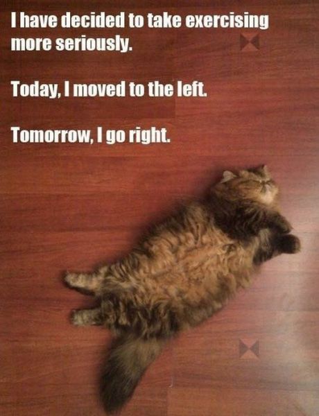 Daily Picdump