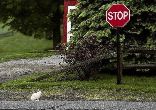 Morning Picdump