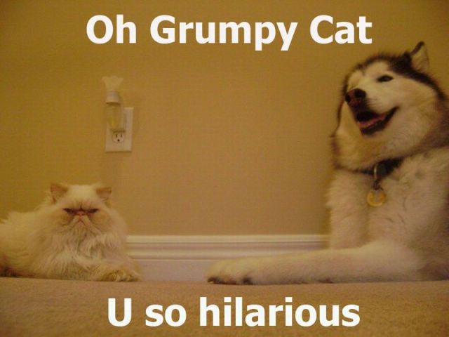 Morning Picdump