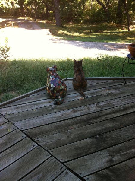Morning Picdump
