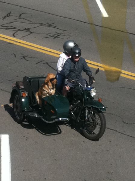 Daily Picdump