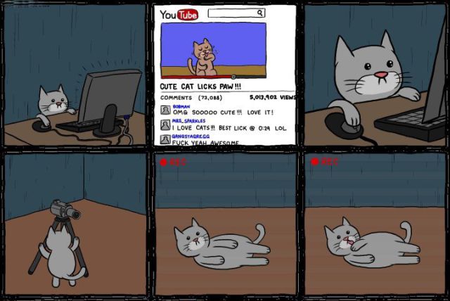 The Story of a Youtube Cat