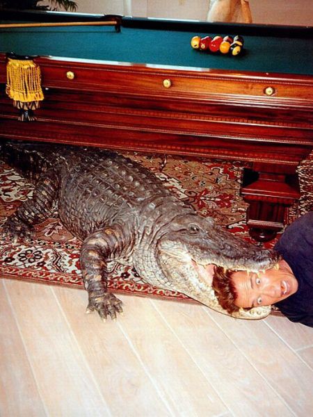 Morning Picdump