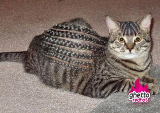 Morning Picdump
