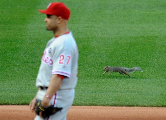 Morning Picdump